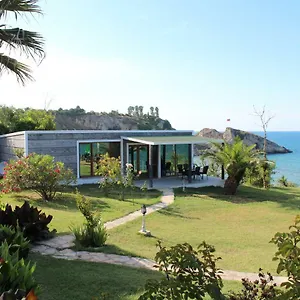 Palm Ağva